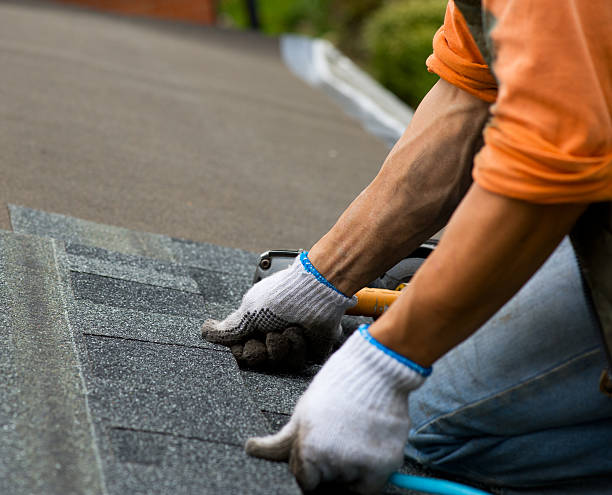 Best Residential Roofing Contractor  in Kenai, AK