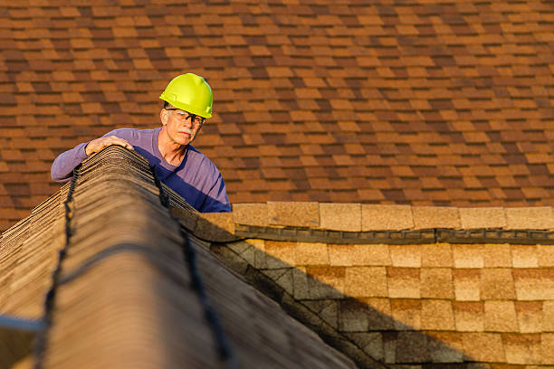 Best Roof Repair Services  in Kenai, AK